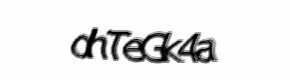 Security check image, please type the characters shown