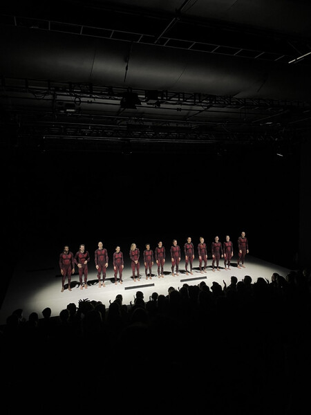 ''Islands'' by Jefta van Dinther, performed with Cullberg in Vienna